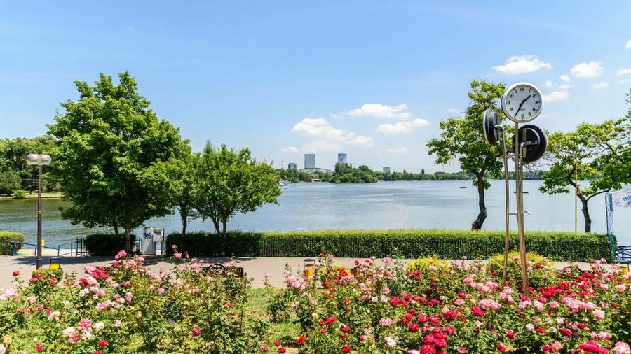 Apartament 2 camere decomandat> Baneasa> COMISION0% - 6