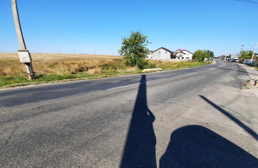 Teren intravilan 33.496 mp, Com. Bradu (fosta Com. Albota), Arges - 2