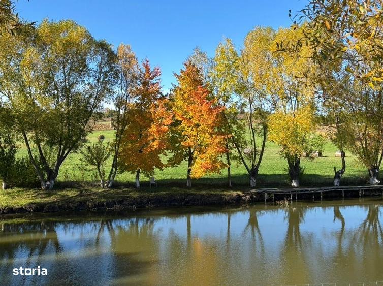 Teren de vanzare - Agapia, Neamt - 7