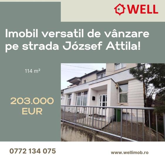 Imobil versatil de vânzare în Sfântu Gheorghe, pe strada József Attila! - 1