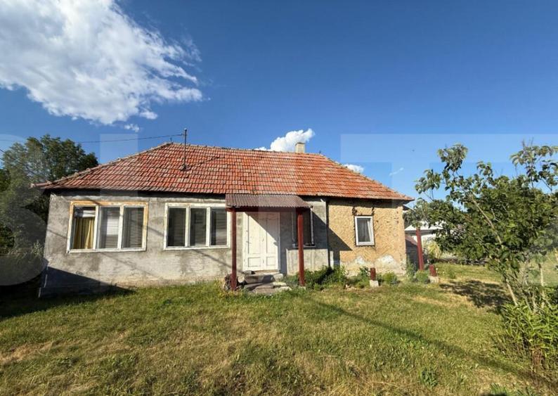 Casa taraneasca in inima naturii - 3