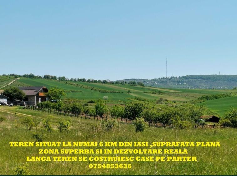 BUCIUM , 6 KM DIN IASI , teren perfect plan , 99.999 % acces pe asfalt - 1