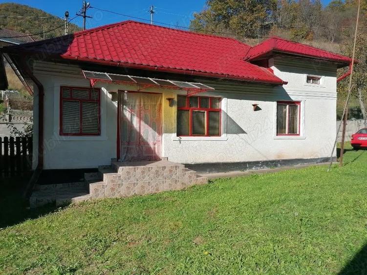 Casa de vanzare + teren si padure - 1