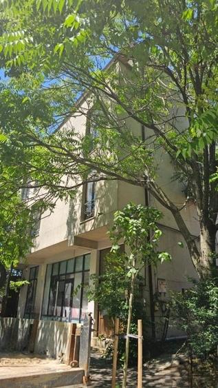 Imobil Comercial de Vanzare - Bulevardul Doamna Ghica | Investitie cu potential - 2