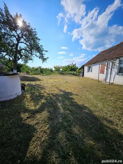 Casa cu teren 1405 mp la Sambateni - 4