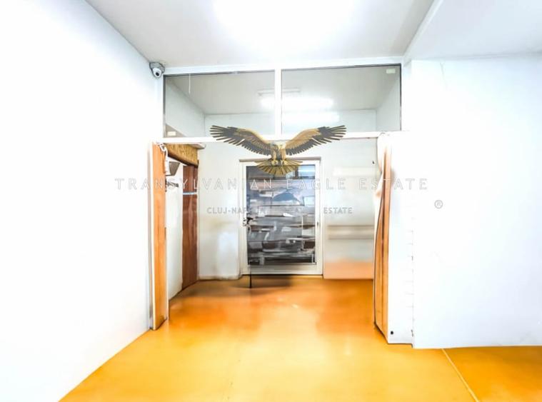 Oportunitate de inchiriere a unui spatiu industrial si de productie - 10