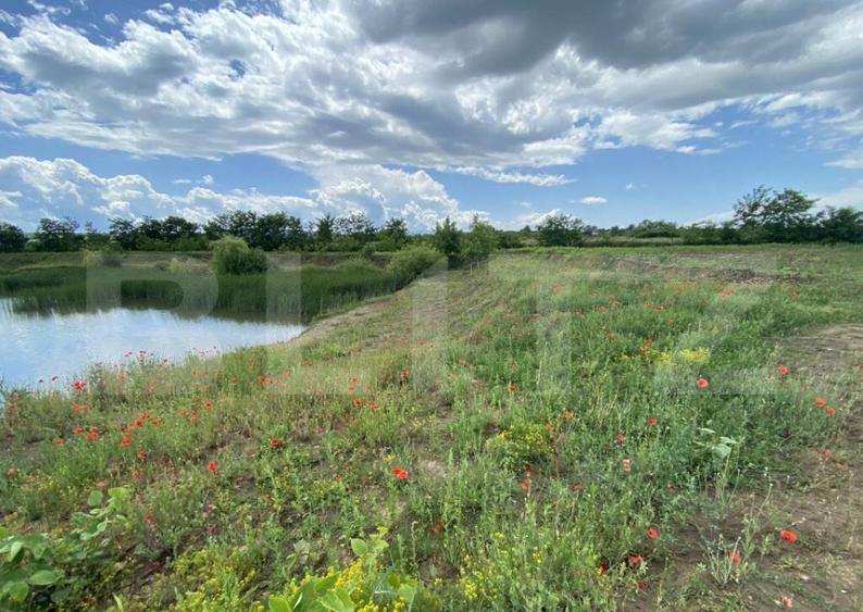 Teren extravilan 10000 mp, cu balta de peste, Salaj, Sarmasa - 5