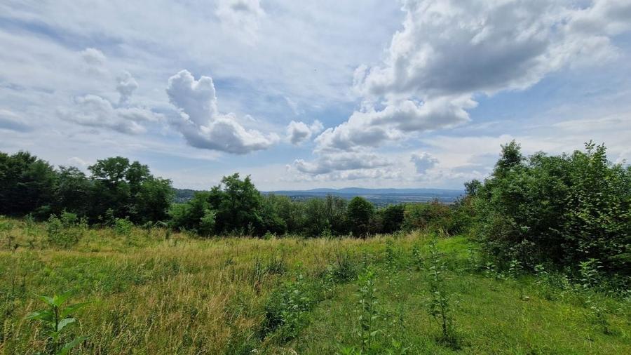 Teren Baia Sprie: 5143 mp, Parcelabil, Comision 0! - 6