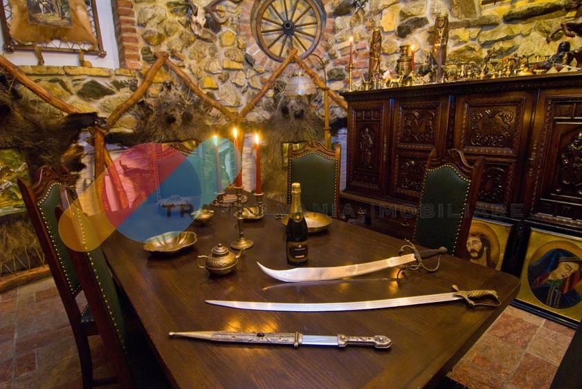 Exclusivitate si Istorie - Castelul Printul Vanator din Turda - 19