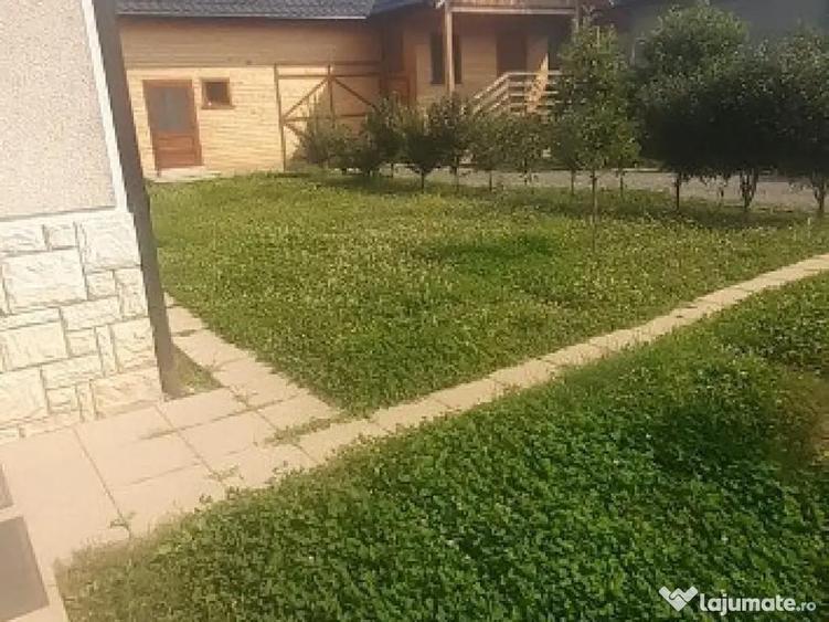 Sat Sasar, casa , 23 ari teren - 9