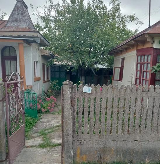 Vand casa la tara, complet utilata, doua locuinte in curte - 3