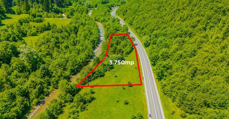 COMISION 0% Teren 3750mp / Sacele / DN1A / Poten?ial tu... - 4