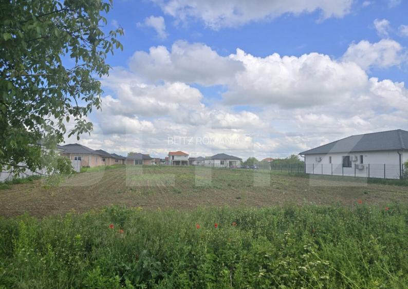 Teren intravilan, 3500 mp. Paulesti