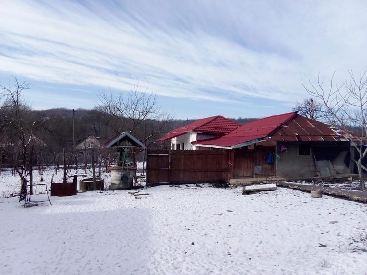 Casa de vanzare la tara - 2