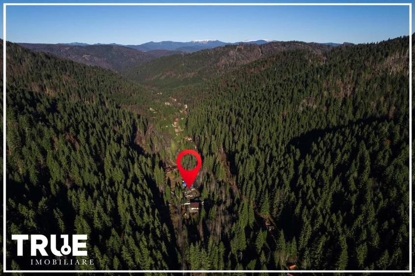 Cabană 210 m² + teren 1400 m² | Sălard, Mureș - 2