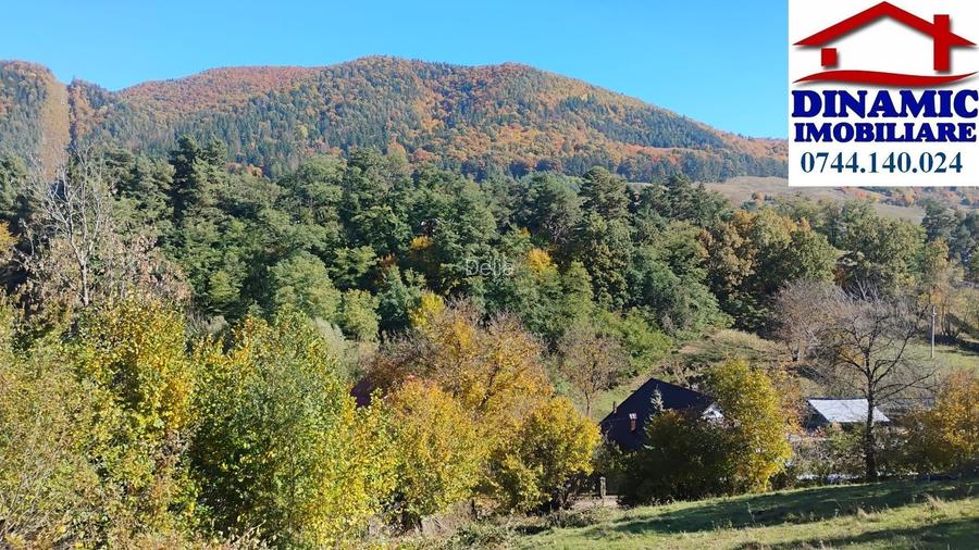 3600 mp teren intravilan, sat Bistrita, 19 Euro/mp