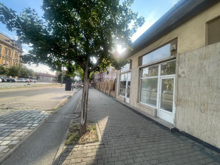 De inchiriat, spatiu comercial, stradal, Iosefin - 5