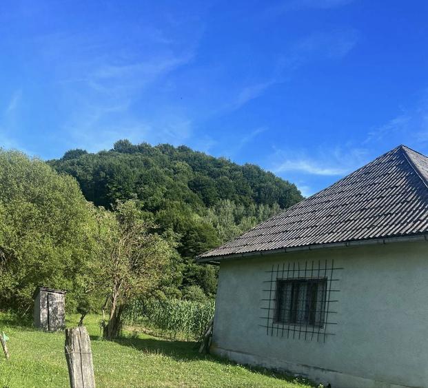Casa + teren + padure sat Moliset, jud Bistrita Nasaud - 8