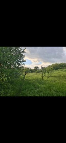 Teren intravilan Dorohoi, str.Mihai Eminescu - 4