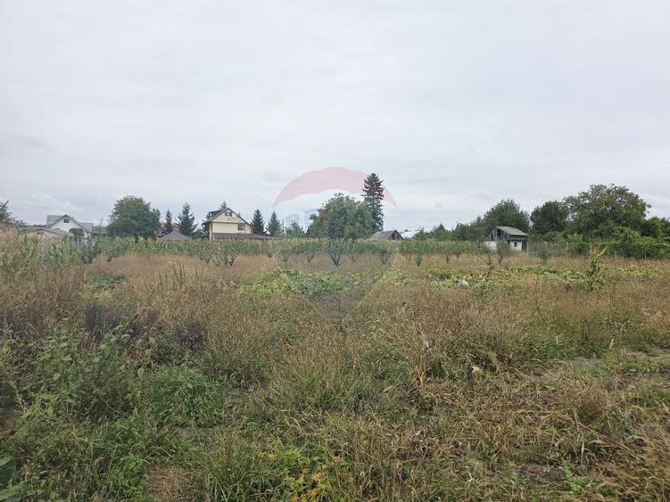 Casă cu livadă și teren generos – Girov - 50