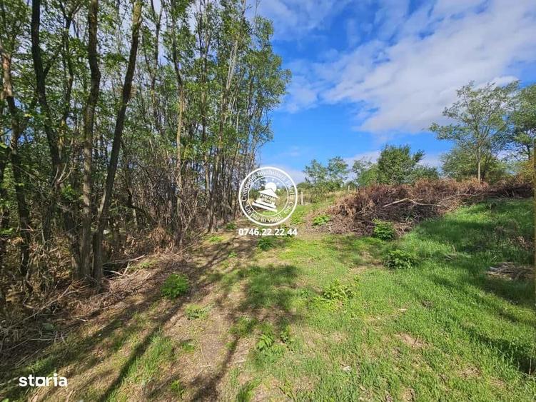 Teren intravilan 904 mp, langa padure - Aroneanu , Iasi - 4