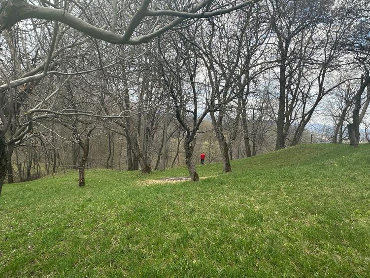 Teren de vanzare comuna Sotrile - 7