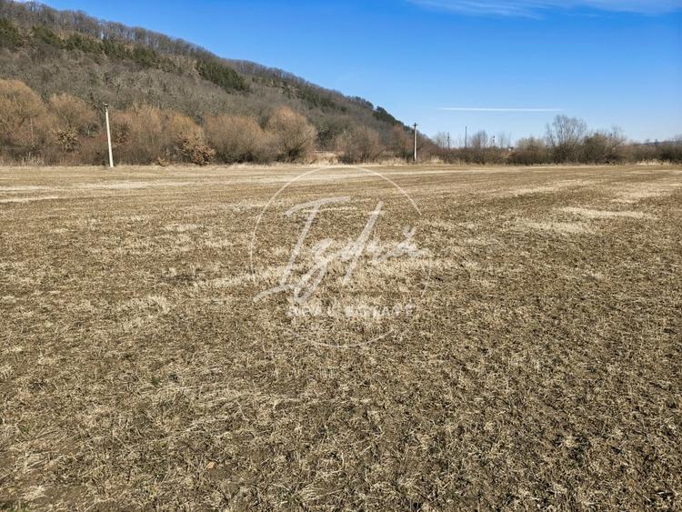 Teren de vanzare - 12