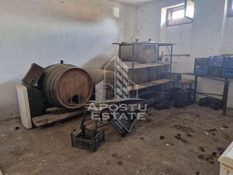 Casa individuala cu 3 camere ,teren 4222 mp in exclusivitate Dorobanti - 12