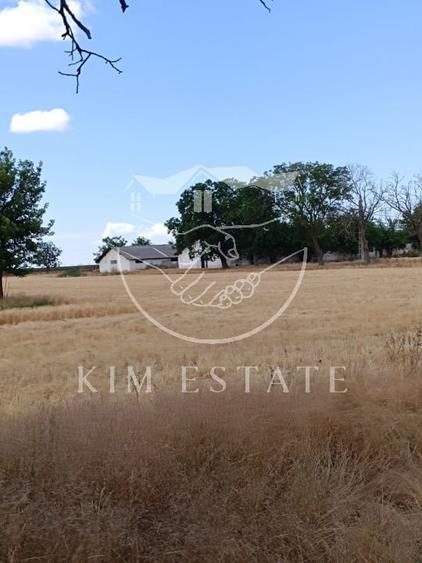 Ferma Pantelimon 10 hectare - 2