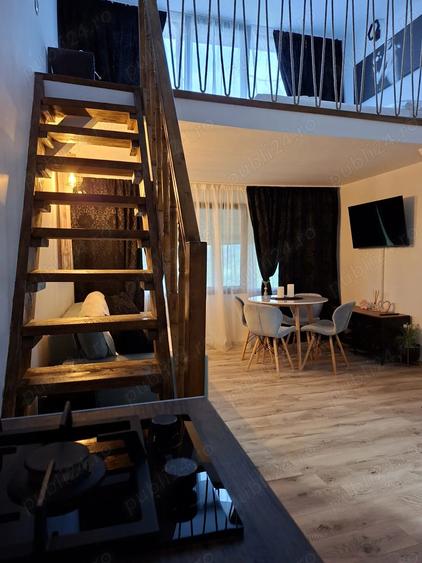 Cabana de vanzare, casa de vacanta sau afacere la cheie - 4