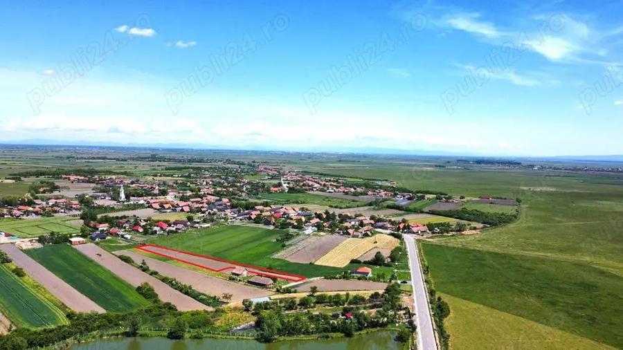 Teren intravilan 2.500 mp in Boghis | Ideal pentru casa sau pensiune | langa balta de pescuit - 4