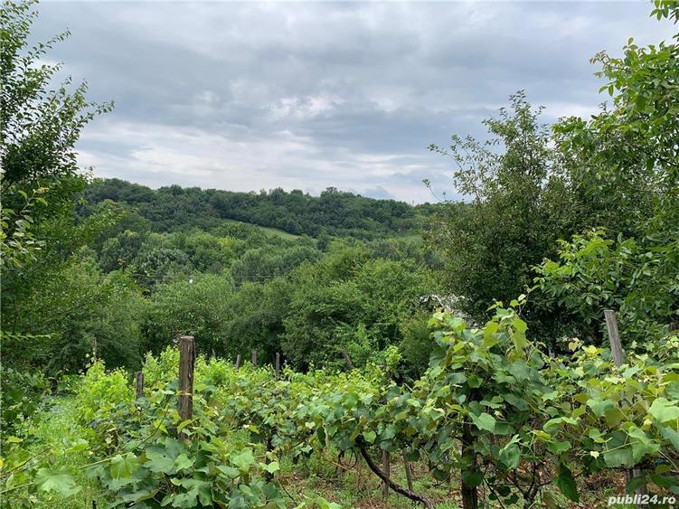 Casa si teren intravilan, Varvorul de Sus - 2