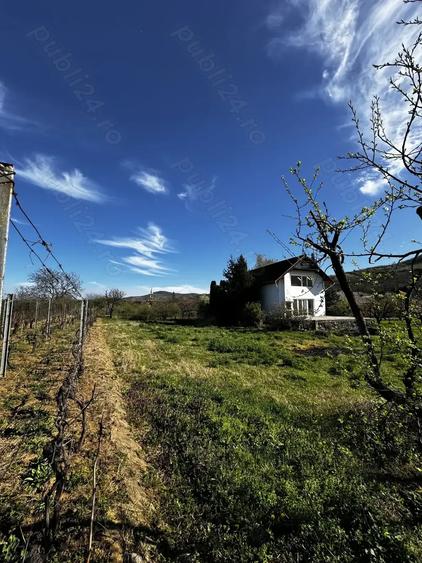 Vila cu livada Paulis, Arad - 8