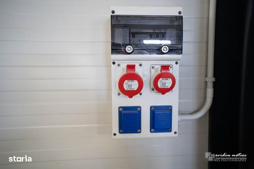 Hala singur la curte Valea Chintaului - 2