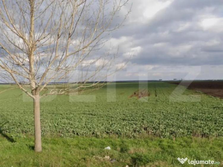 Teren 15.000 mp, 28 parcele, Peugeot/Pielesti - 1