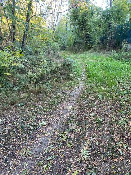 Teren de vanzare Nistoresti-Breaza 1081mp - 5