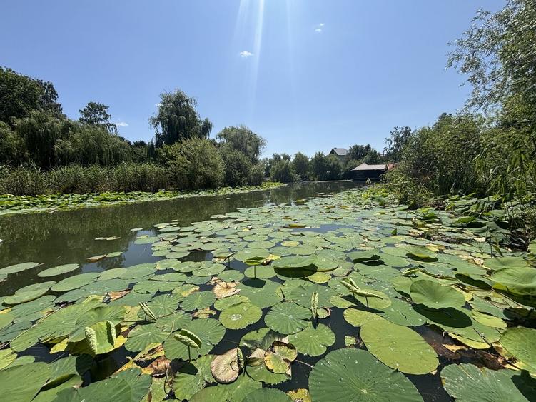 Teren+CASA 8000mp Deschidere 36ml Lacul Snagov - 3