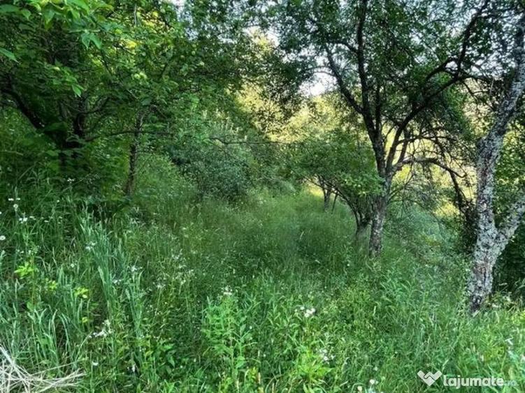 Teren zona turistica Rosia - 5