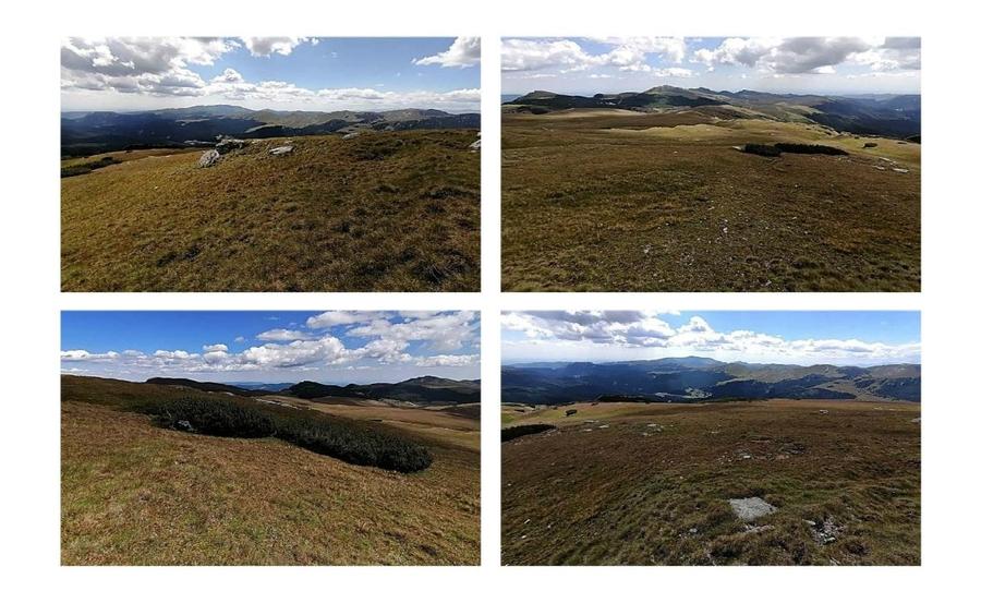 Bucegi zona alpina Ski Resort Padina Pestera - 7