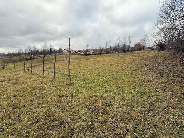 Teren de vanzare - 7