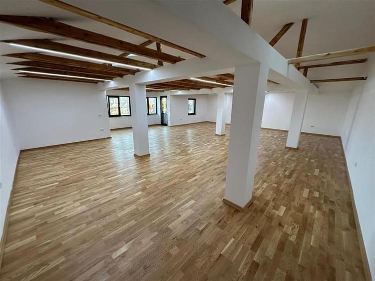 Spatiu de inchiriat - deschidere la E85 - Nicolae Balcescu - 8