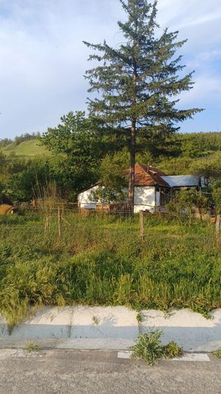 Casa cu teren 1 hectar in sat Roscani, la 40 km de Iasi. - 4