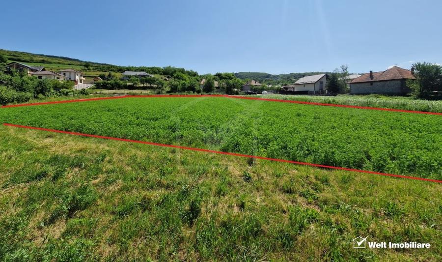 Teren intravilan 2000 mp – Popesti (Baciu) Ideal pentru casa, gradina si livada - 5