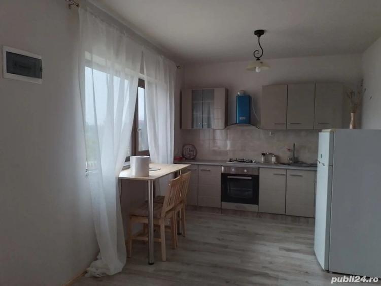 Casa de vanzare Ostrovu Corbului Hinova -Sat Nou - 4