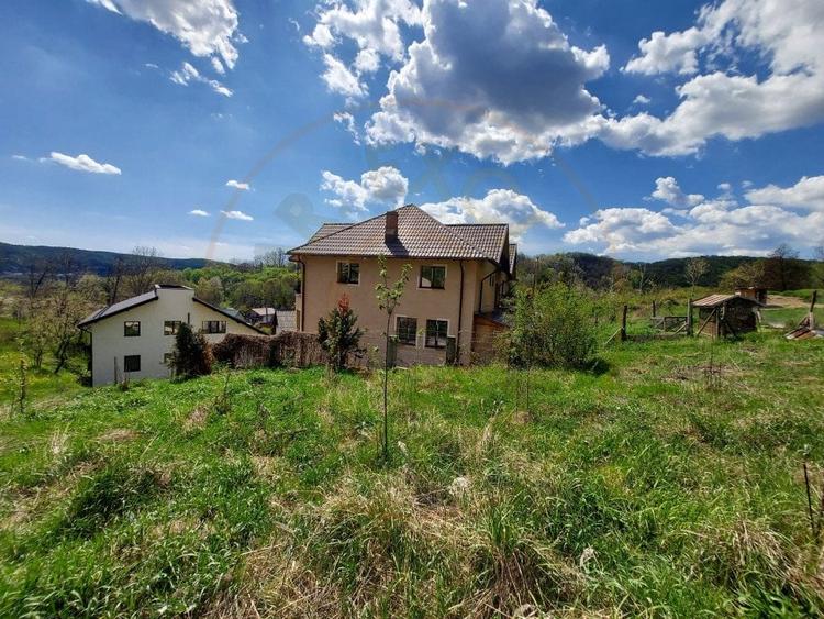 Casa imbratisata de padure - Valea Ursului, Bascov - 20