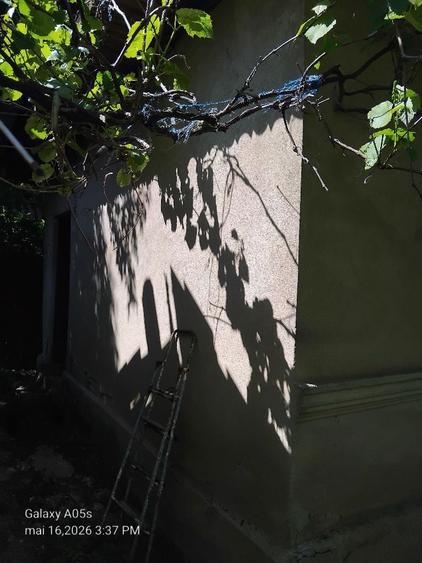 27000 Euro. Casa batraneasca de vanzare judetul Calarasi Lehliu sat - 6