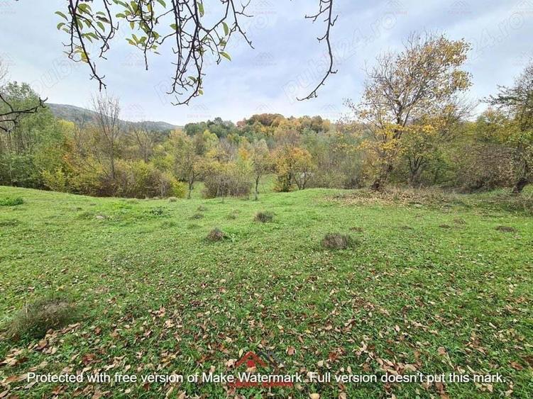 Teren intravilan in Provita de Jos 14.340 mp-- 90.000 e - 3