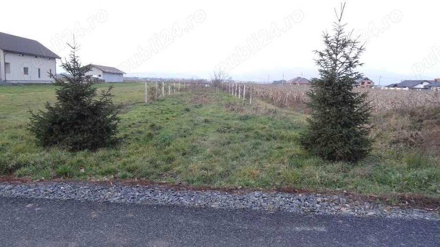 Vand teren Mocira - 3