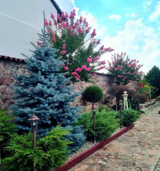 Vand casa vila D+P+M, cu piscina, in Arad, zona Gradiste - 8