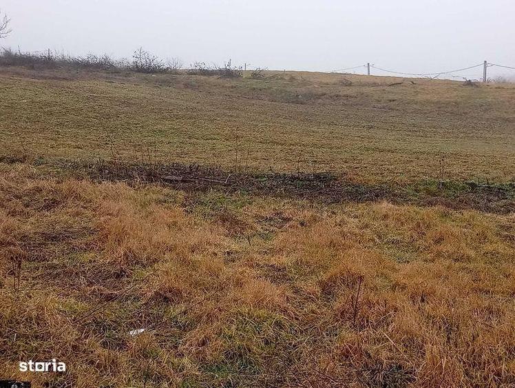Direct de la proprietar - teren intravilan 820mp Proselnici - 2